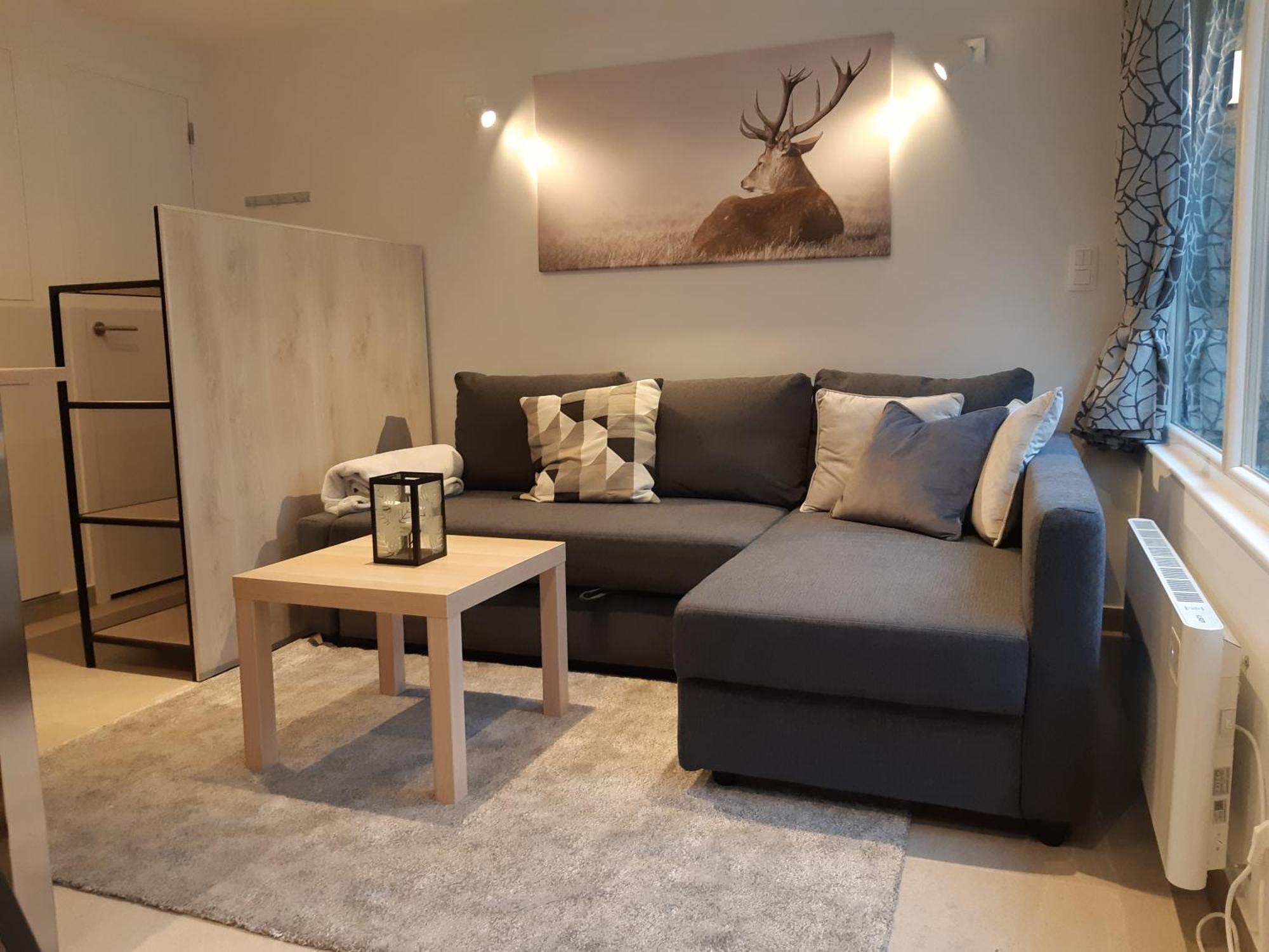 Terrasses De Malmedy F&L Triplex 214 Et Studio 320 Et 317 Et Studio Superieur 340 객실 사진